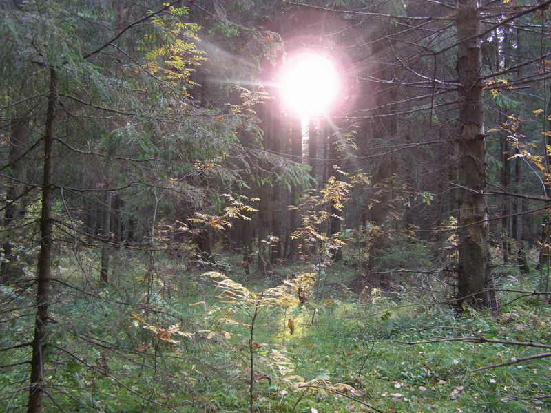 шаровая молния