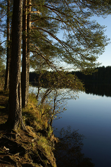 Банально 