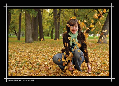На ковре из желтых листьев..