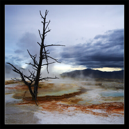 Canary Spring, Mammoth Hot Springs, Yellowstone.