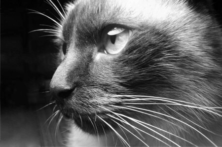 ну очень серьезный мальчик :)