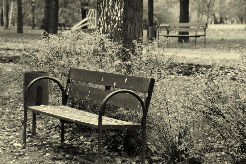 В старом парке