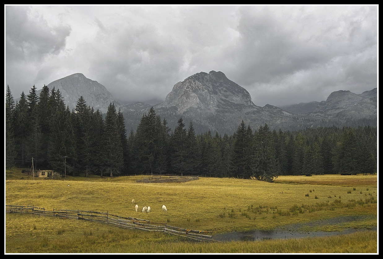 Durmitor