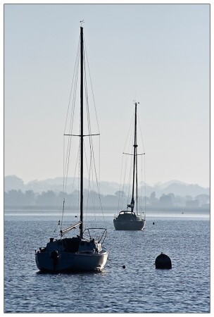 Дали зовут...