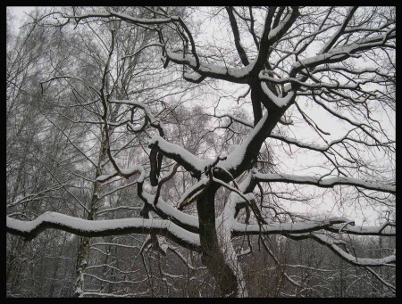 Изгибы судьбы