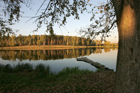 Осенняя