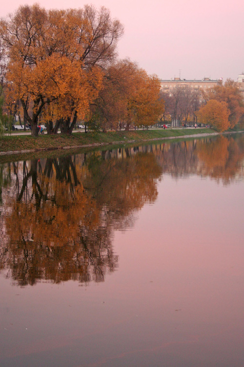 Сумерки