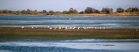 КРАСКИ ЛИМАНА