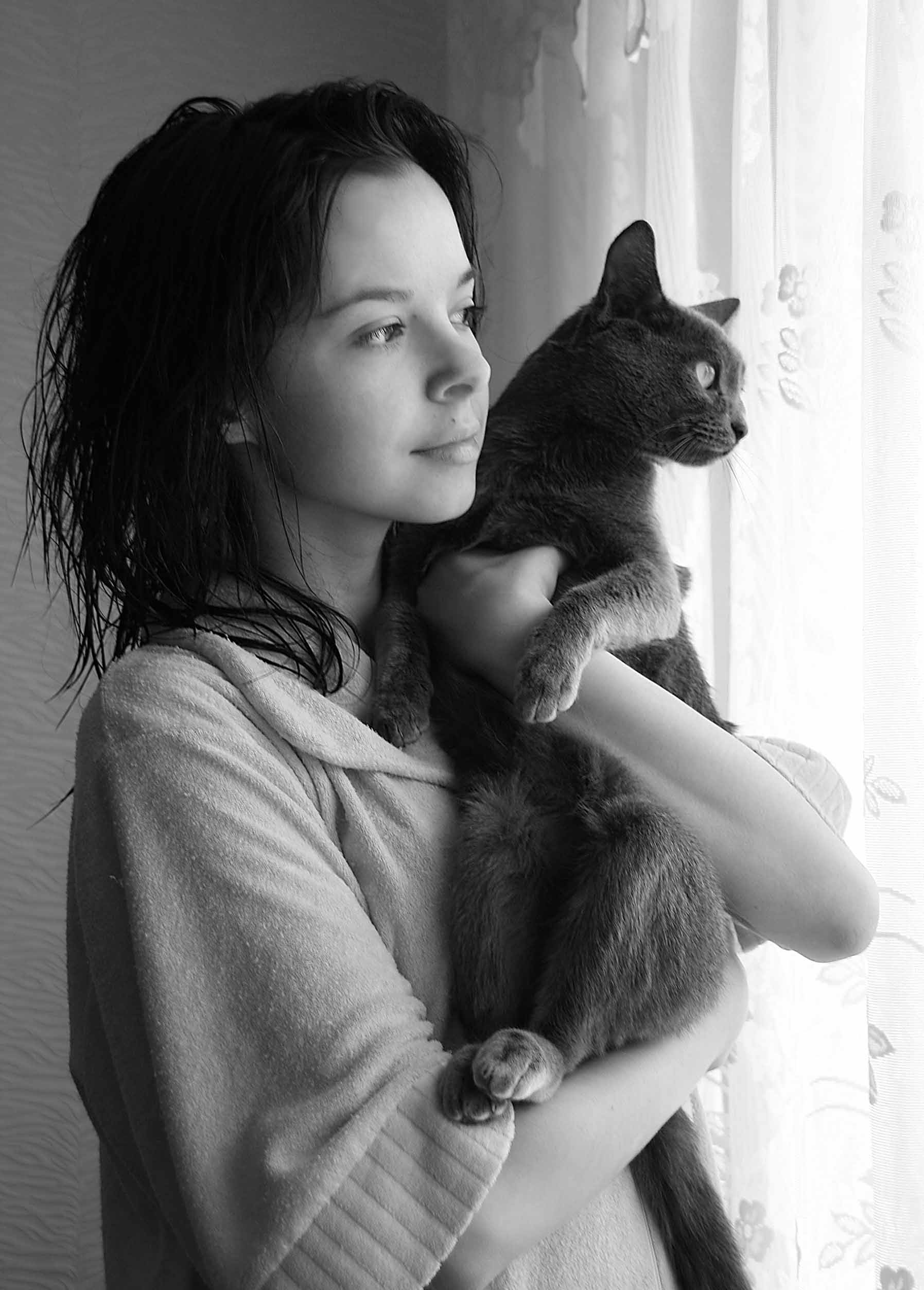 Кошечки