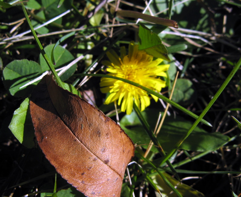 Indian summer