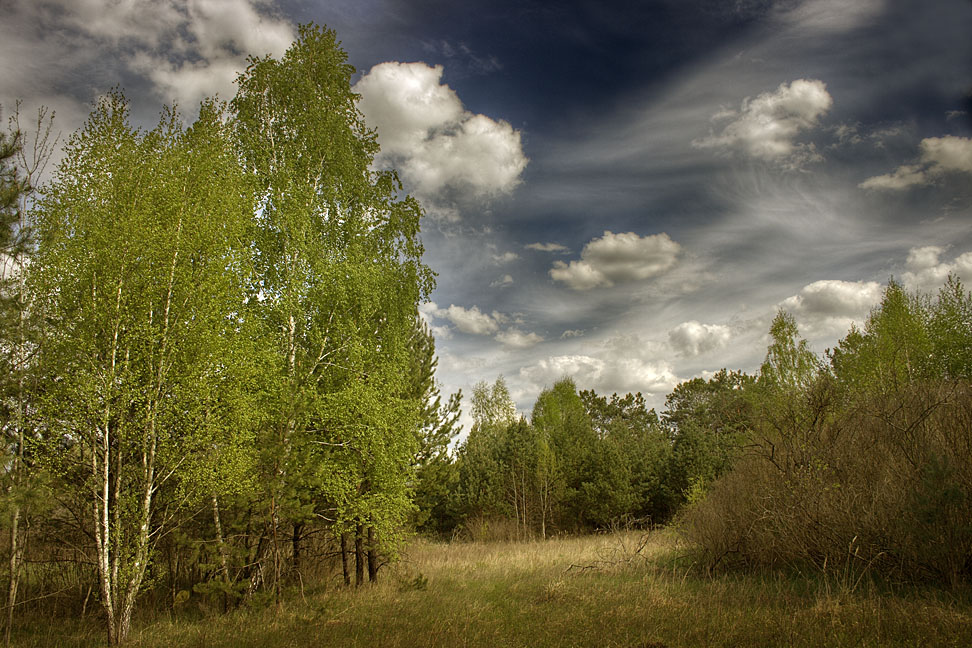 Лисьими тропками
