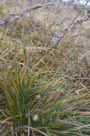 Спрятались