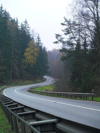 осенний зигзаг