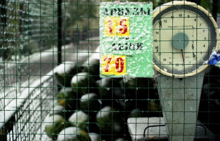 100 г. снега