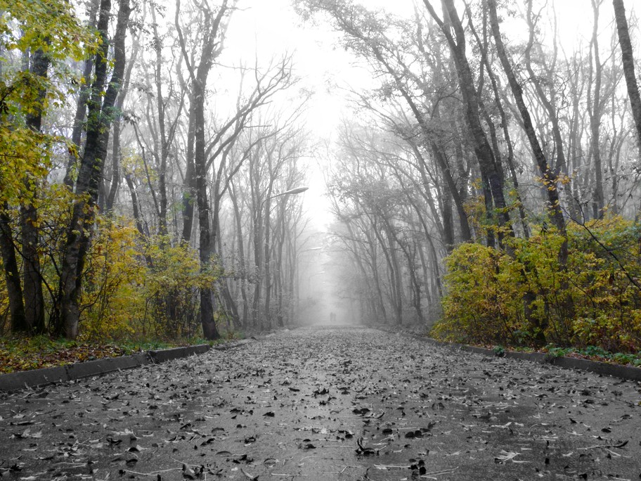 Осенняя дорога в зиму