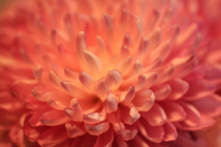 Беспредельность