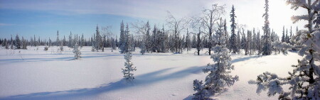 Зимняя панорамка