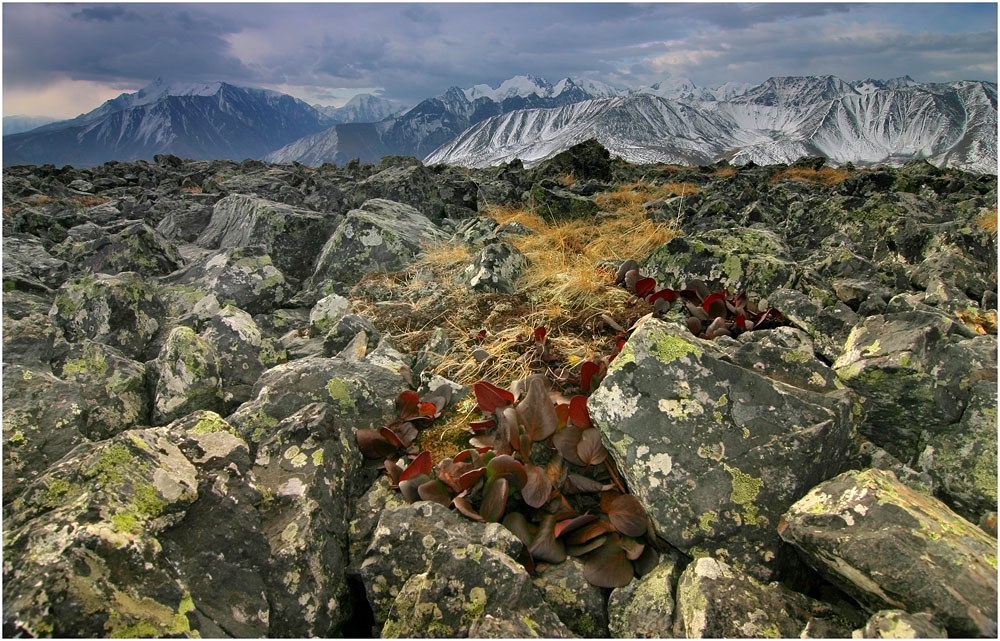 Осенний Алтай 21