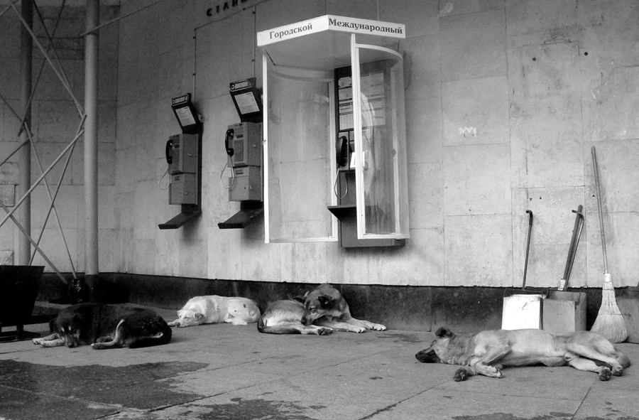 Устали ждать звонка