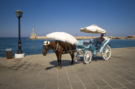 ну где же эти цыгане ?!