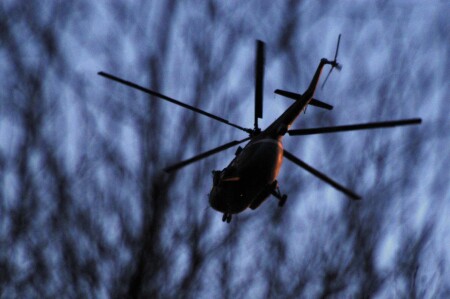 попался в сети