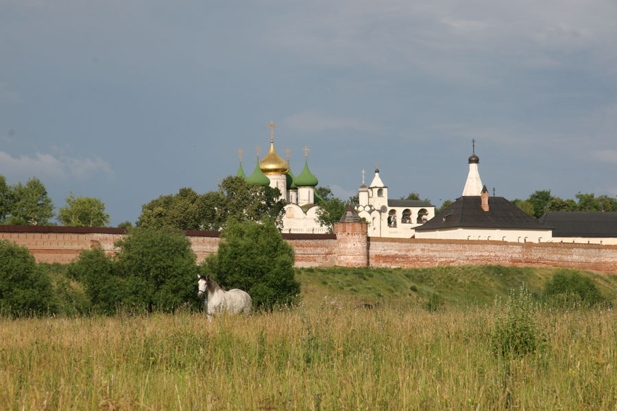 Вольная воля