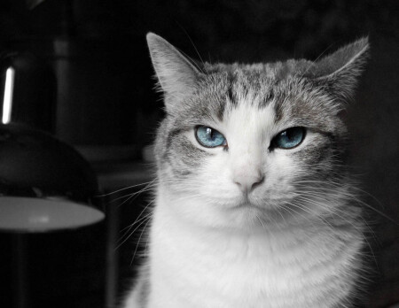 недовольство