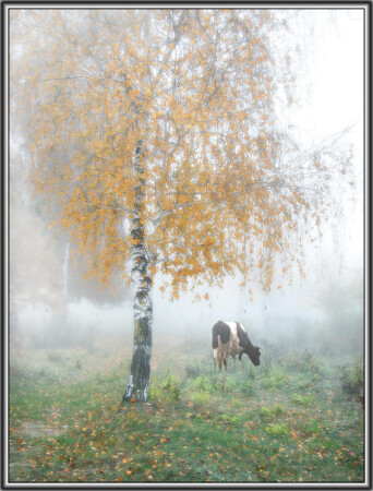 Сельский мотив