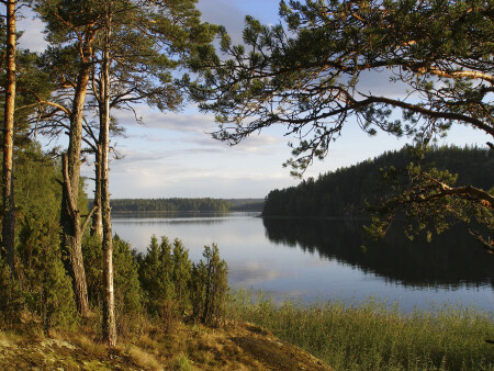 Август. Вечер.