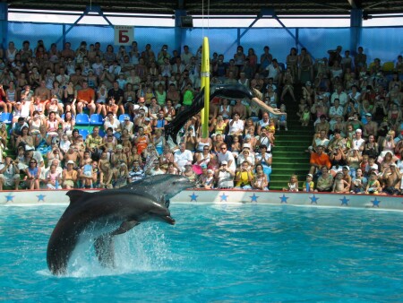 Тройной прыжок