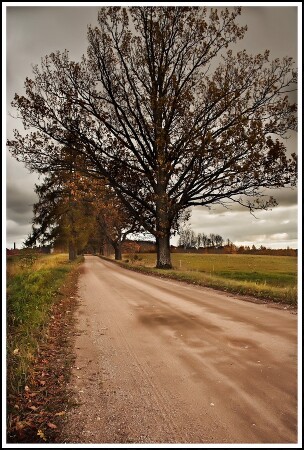doroga...