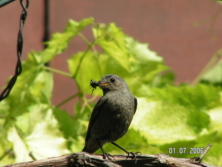 Есть только миг, между прошлым и...