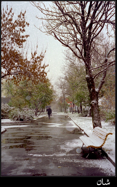 Park