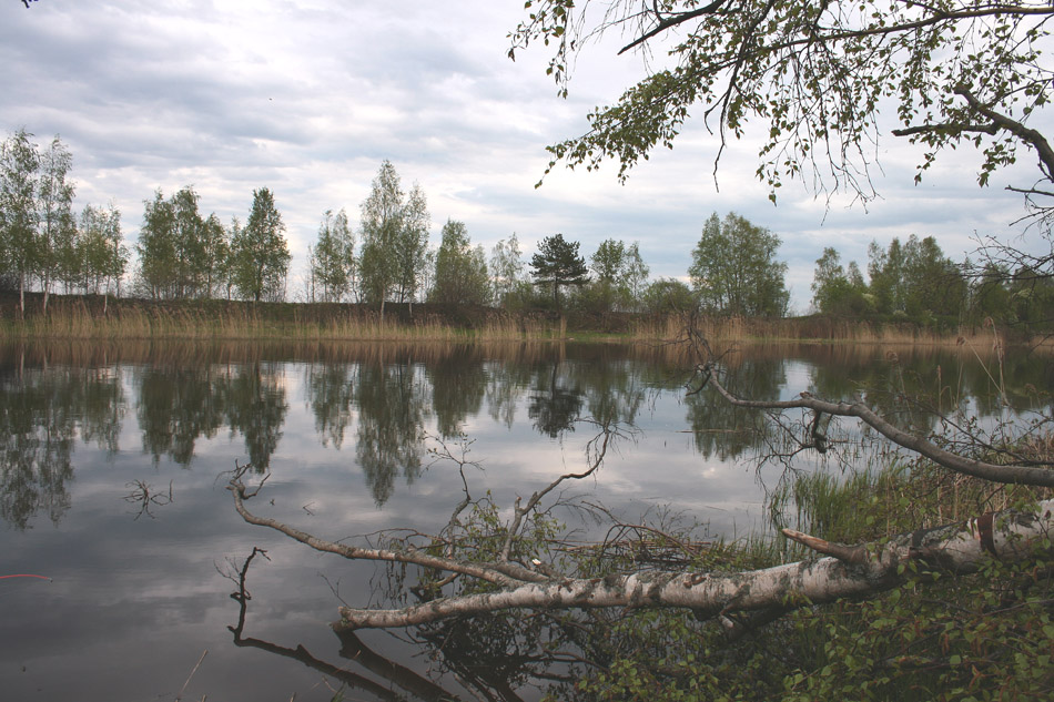 весна