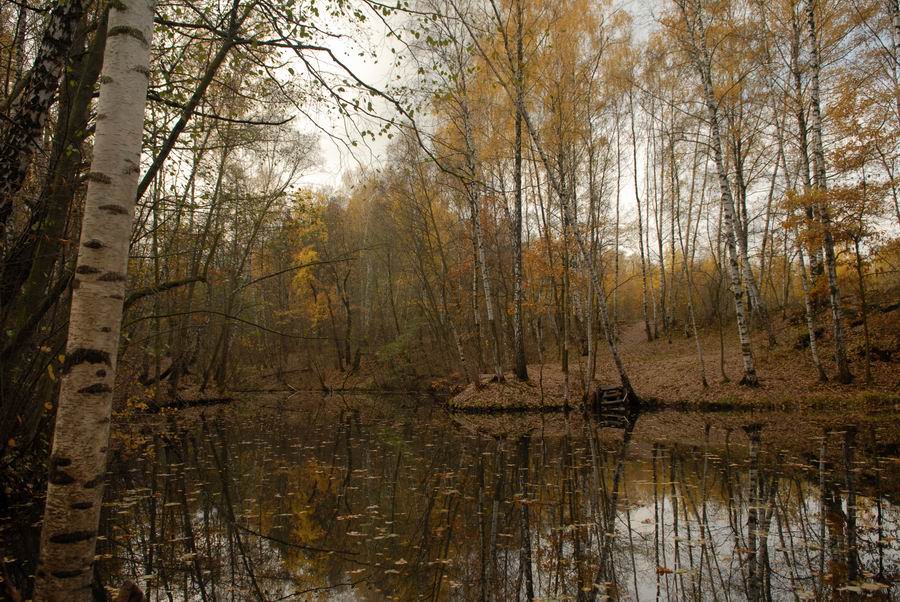 Осеннее настроение...