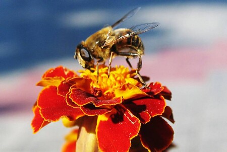 работа есть всегда