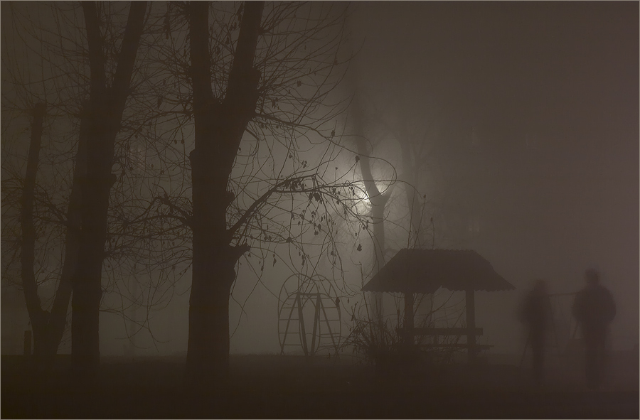 Туман в ноябре