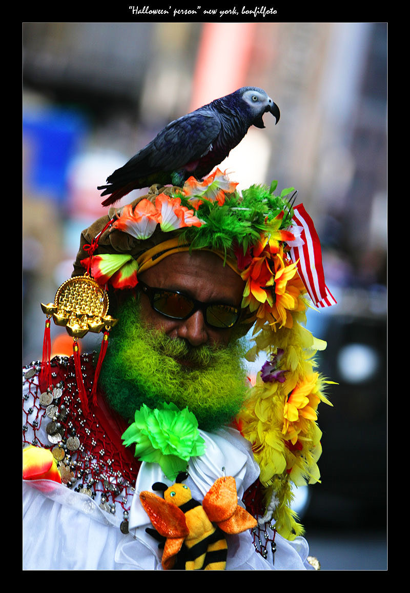 &quot;HELLOWEEN'S PARROT&quot; NEW YORK