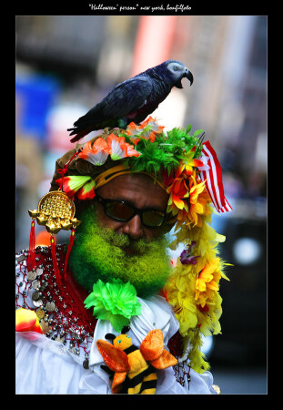 "HELLOWEEN'S PARROT" NEW YORK