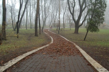 V PARKE