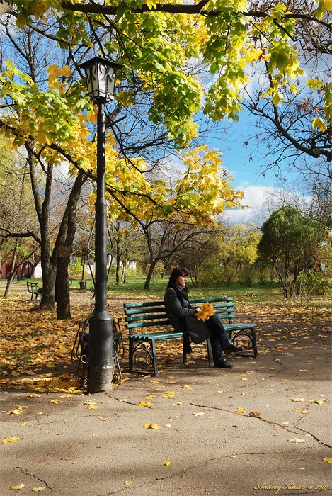 В стороне от суеты