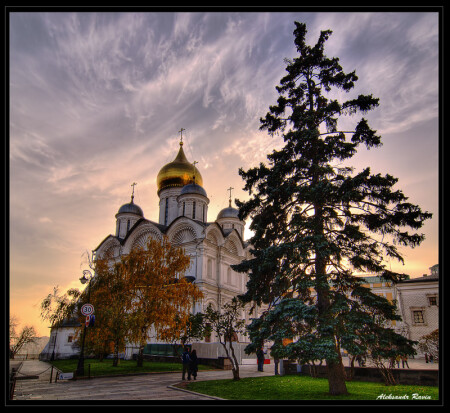 Все краски ночи