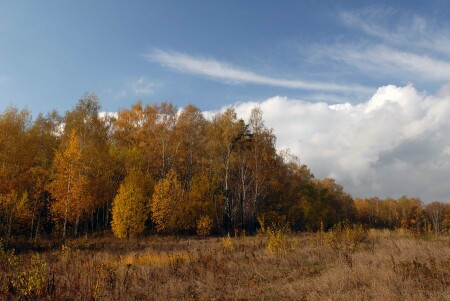 Осень в Подмосковье