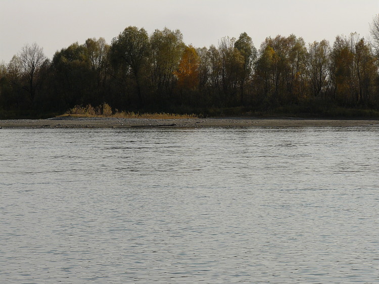 Серебро Катуни.