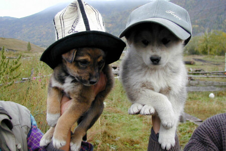 без названия