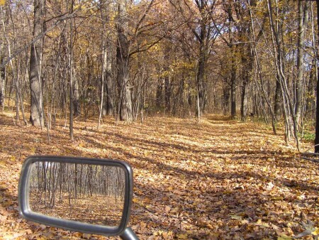 Осень