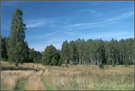 Березовая Поляна