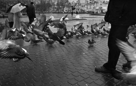 порядка нет..