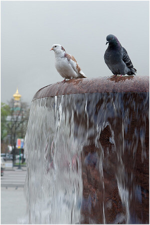 Двое