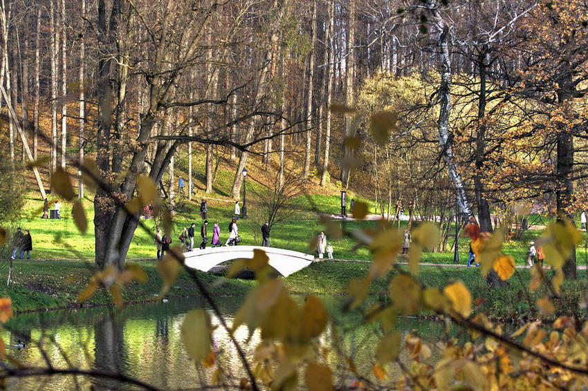 Последний луч осеннего солнца